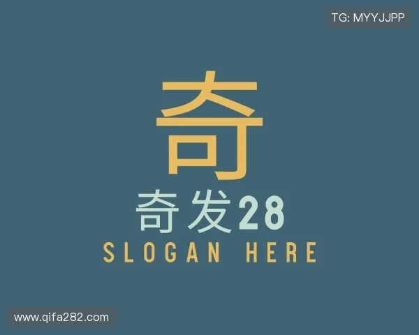 解读奇发28